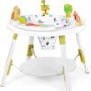 3-in-1 Activity Center – Jumper, Table & Rotating Seat