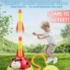 Ladybug Musical Jump & Toss Outdoor Toy