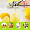 Stainless Steel Manual Lemon Squeezer – Citrus Juicer Press